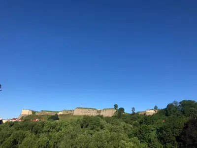 Przyroda w pobliżu tego apartamentu