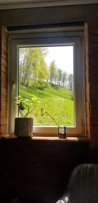 Ogród w obiekcie Domek za lipą