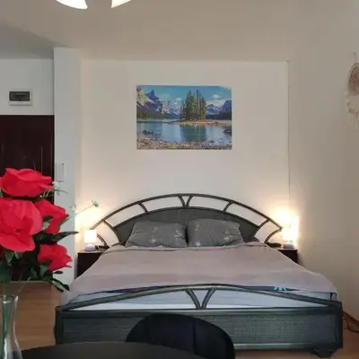 Mini Apartament Studio