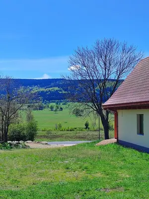 Przyroda w pobliżu tego domu w stylu alpejskim