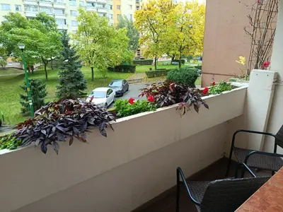 Ogród w obiekcie Mieszkanie, Blisko Stadionu Tarczyński Arena, Blisko Hala Orbita