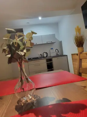 Kuchnia lub aneks kuchenny w obiekcie ApartHotel8