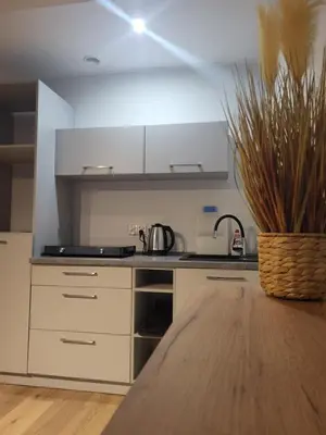 Kuchnia lub aneks kuchenny w obiekcie ApartHotel8