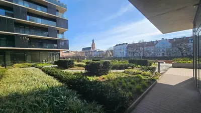 Ogród w obiekcie Studio nad rzeką 73, Rynek 500 m