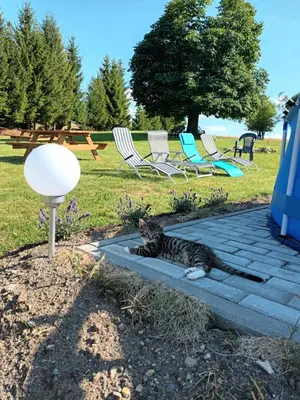 Ogród w obiekcie Kulibaba