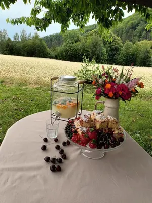 Ogród w obiekcie Kulibaba