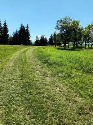 Przyroda w pobliżu tego apartamentu