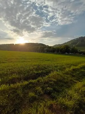 Przyroda w pobliżu tego apartamentu