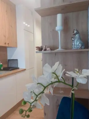 Kuchnia lub aneks kuchenny w obiekcie Jaworska 4 Apartments Wrocław