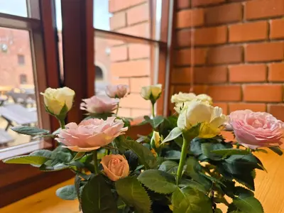 Plan piętra w obiekcie Twierdza Srebrna Góra Donżon