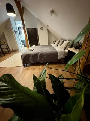 Łóżko lub łóżka w pokoju w obiekcie Apartamenty Astor - Księżycowy
