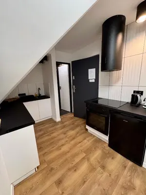 Kuchnia lub aneks kuchenny w obiekcie Apartamenty Astor - Księżycowy