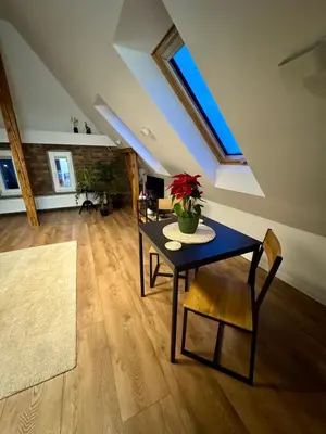 Telewizja i/lub zestaw kina domowego w obiekcie Apartamenty Astor - Księżycowy