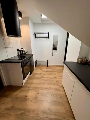 Kuchnia lub aneks kuchenny w obiekcie Apartamenty Astor - Księżycowy