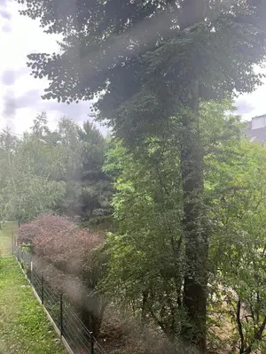 Przyroda w pobliżu tego apartamentu