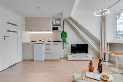 Kuchnia lub aneks kuchenny w obiekcie Apartamenty Stylove