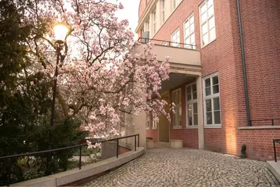 Ogród w obiekcie Rooms in Historic Heart of Wroclaw