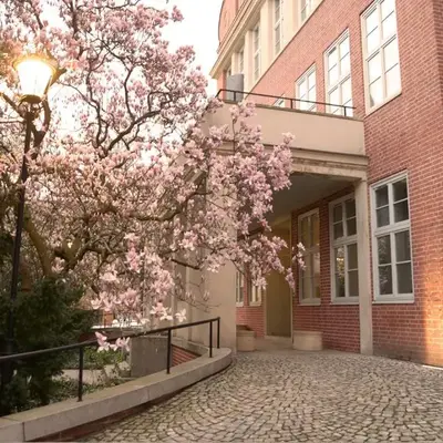 Rooms in Historic Heart of Wroclaw