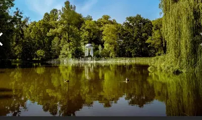 Przyroda w pobliżu tego apartamentu