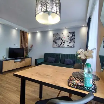 Telewizja i/lub zestaw kina domowego w obiekcie Zielony Makusz