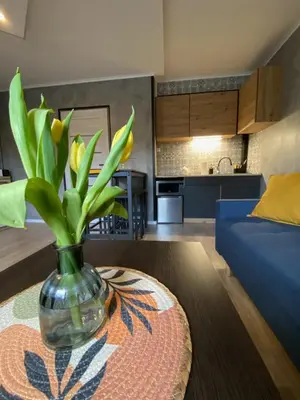 Kuchnia lub aneks kuchenny w obiekcie Apartament Asspazja