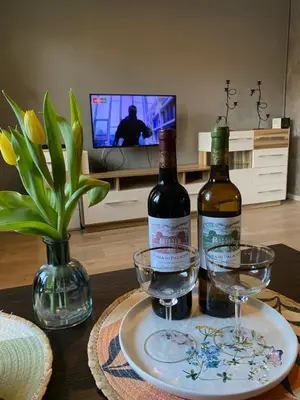 Telewizja i/lub zestaw kina domowego w obiekcie Apartament Asspazja
