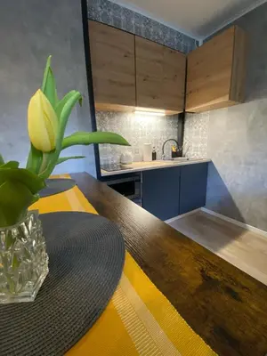 Kuchnia lub aneks kuchenny w obiekcie Apartament Asspazja