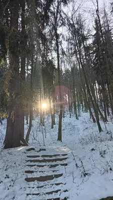 Obiekt APARTAMENT Jedlinka A zimą
