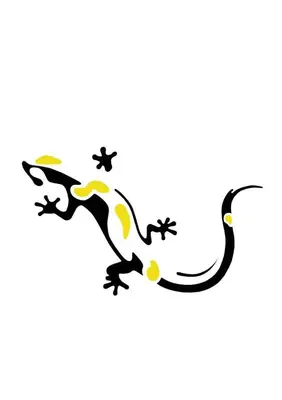 Plan piętra w obiekcie Salamandra - SUDETY