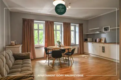 Kuchnia lub aneks kuchenny w obiekcie Apartamenty przy Zamkowej w Wałbrzychu