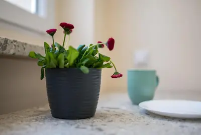 Plan piętra w obiekcie Apartament Lompy