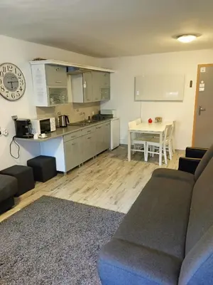 Kuchnia lub aneks kuchenny w obiekcie Apartament na Cichej