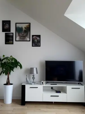 Telewizja i/lub zestaw kina domowego w obiekcie Apartament Dolina Baryczy Milicz