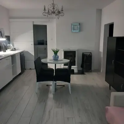 Kuchnia lub aneks kuchenny w obiekcie Apartament z kominkiem RetroGlam