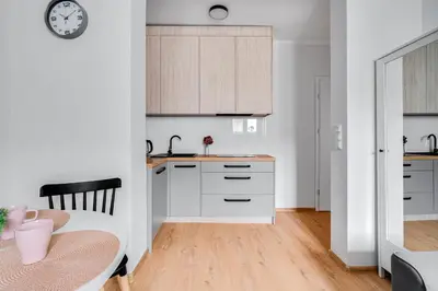 Kuchnia lub aneks kuchenny w obiekcie Apartamenty Franciszkańska