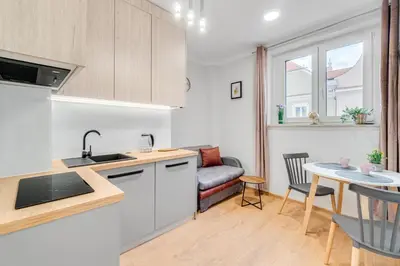 Kuchnia lub aneks kuchenny w obiekcie Apartamenty Franciszkańska