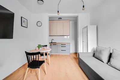 Kuchnia lub aneks kuchenny w obiekcie Apartamenty Franciszkańska