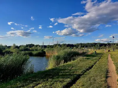 Przyroda w pobliżu tego apartamentu