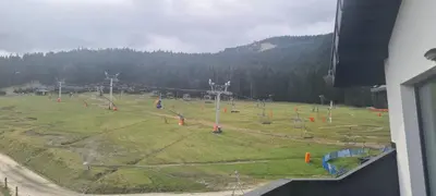Przyroda w pobliżu tego apartamentu