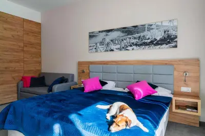 Łóżko lub łóżka w pokoju w obiekcie Apartament Folgaria - Aparthotel Panorama Czarna Góra
