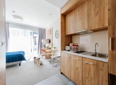 Kuchnia lub aneks kuchenny w obiekcie Apartament Folgaria - Aparthotel Panorama Czarna Góra