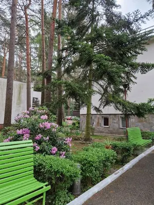 Ogród w obiekcie Peters