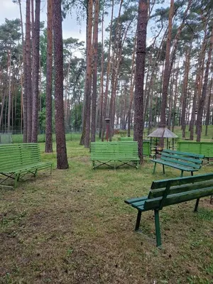 Ogród w obiekcie Peters