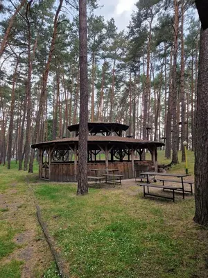 Ogród w obiekcie Peters
