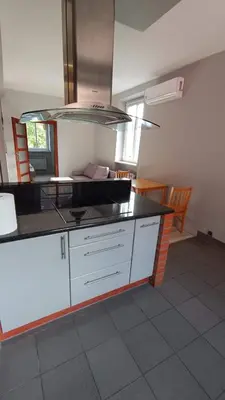 Kuchnia lub aneks kuchenny w obiekcie Apartament Gliwice Centrum plus Parking