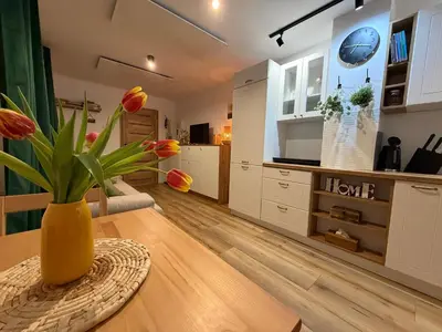 Kuchnia lub aneks kuchenny w obiekcie Apartament w Sercu Gór z ogrodem