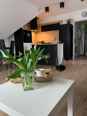 Kuchnia lub aneks kuchenny w obiekcie Apartamenty Astor - Słoneczny