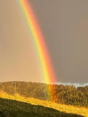 Przyroda w pobliżu tego domu w stylu alpejskim