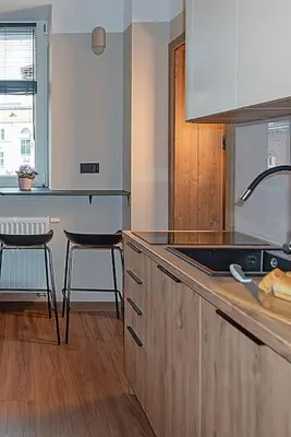 Kuchnia lub aneks kuchenny w obiekcie Budget Apartment Gliwice 1min from Main Square