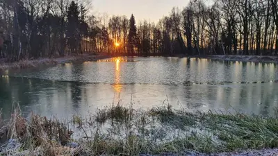 Przyroda w pobliżu tego domu wakacyjnego